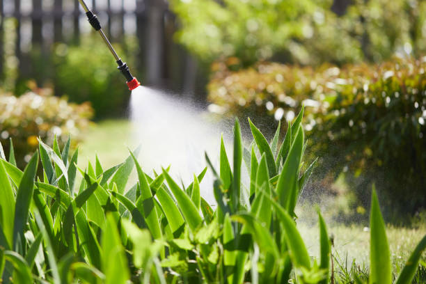 24/7 Emergency Mosquito Control experts in Golden Shores, AZ