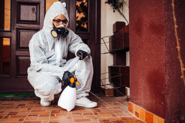 Reliable Mosquito Control contractor in Golden Shores, AZ by Show Me Pest Control